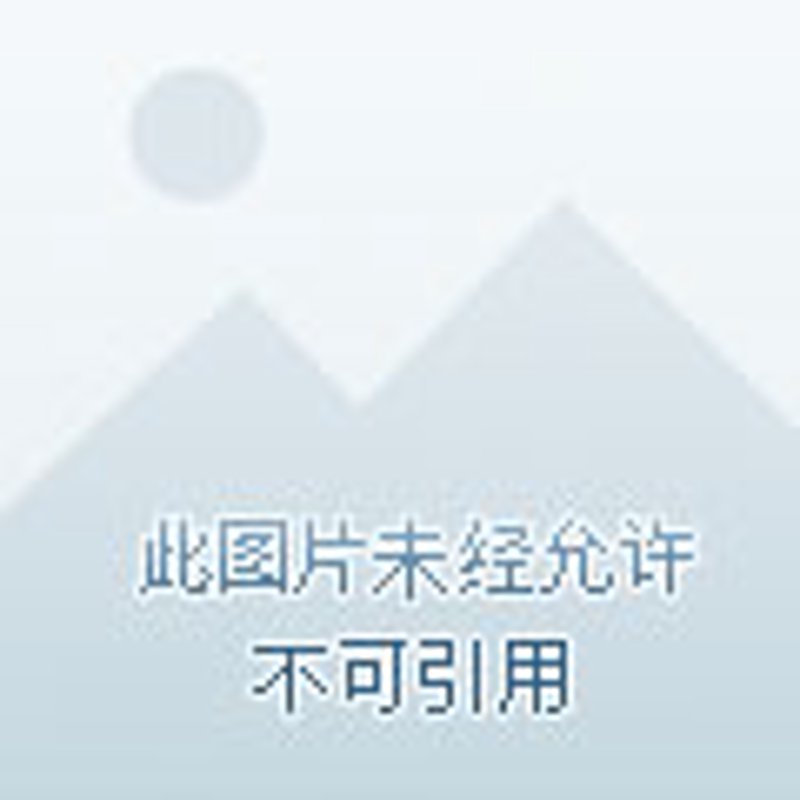 大安市家庭农场：探寻现代农业的绿洲