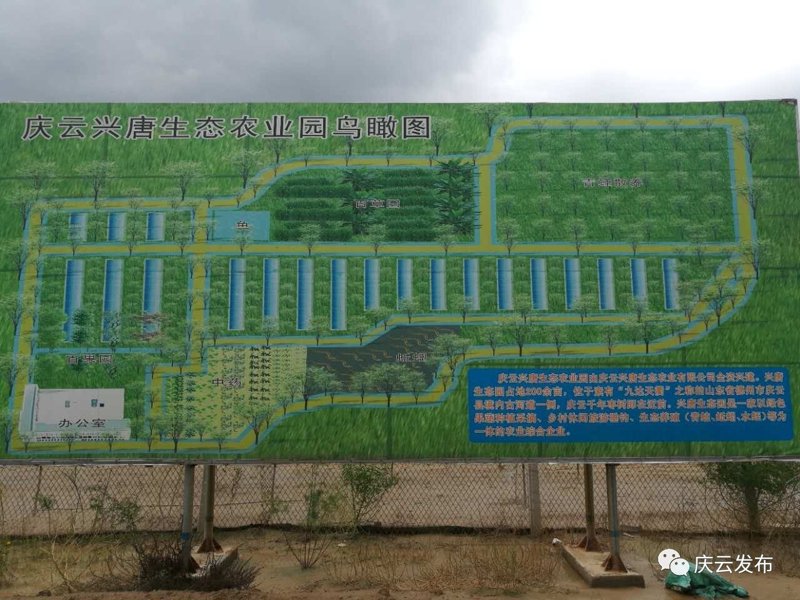 古河道种植
