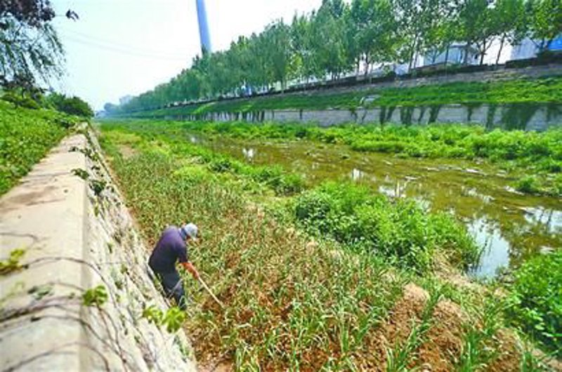 解读现代农业：粮食种植基地的新篇章