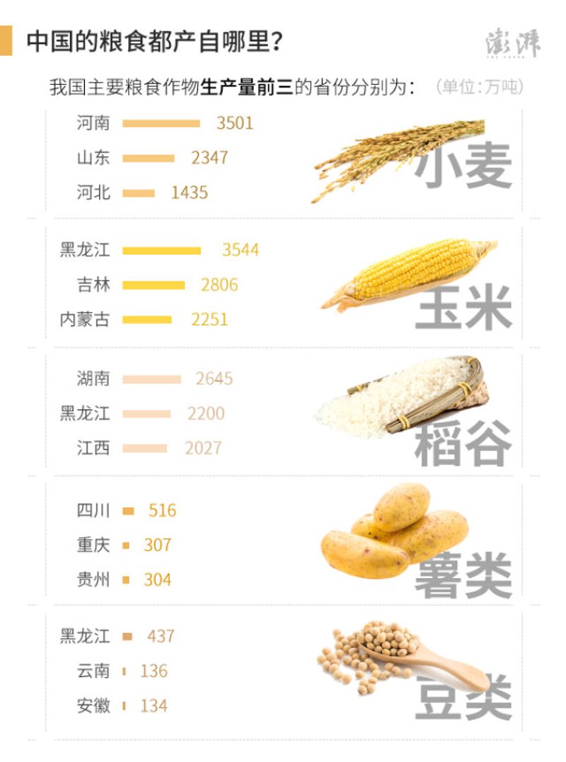 稻浪滚滚:探究最新水稻种植技术与发展趋势