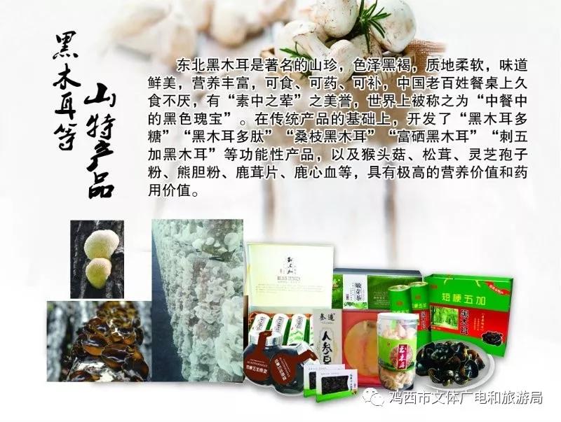 探索古河道的自然之美：绿色植物与蜿蜒河流交织